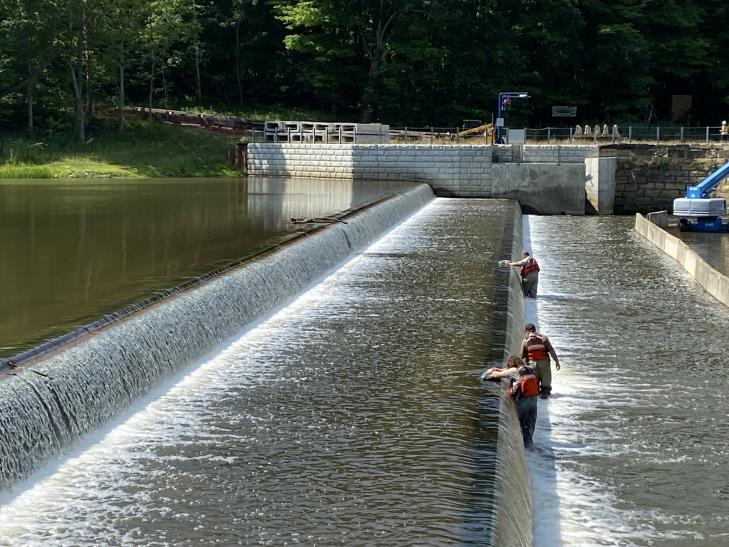 A photo of FWS staff working on the face of a dam